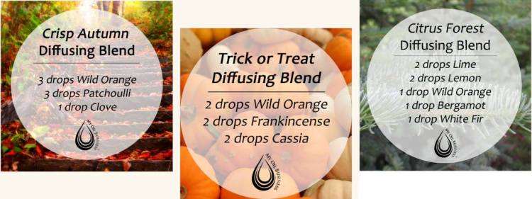 Fall Diffuser Blends