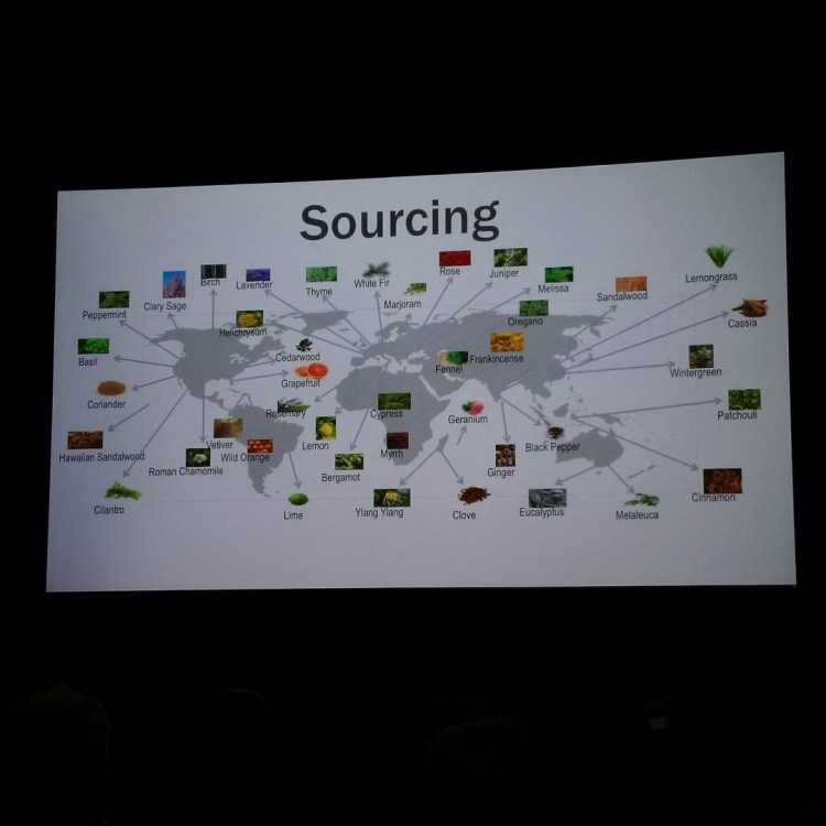 IMG_20160603_162551_edit