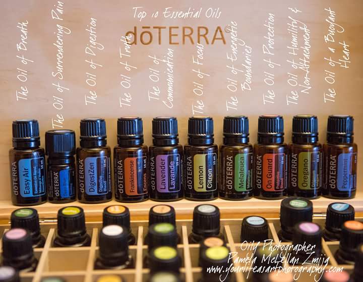 tmp_19720-FB_IMG_1465642714557-1305565734