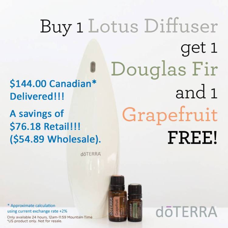 13690680_10154763071124239_8165336113193432135_n