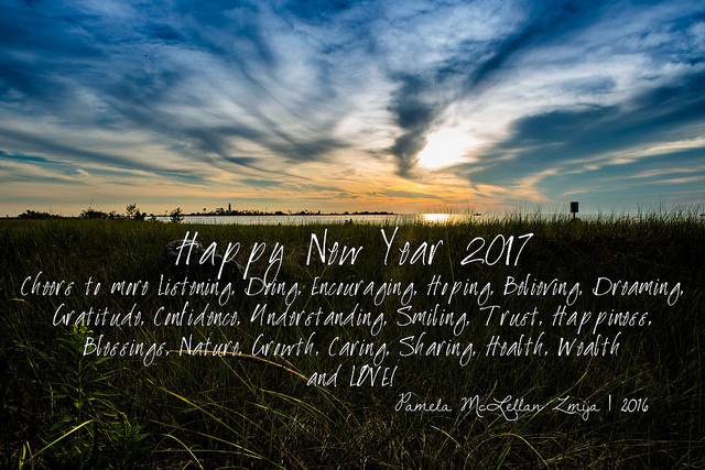 31167063974_bbd44b7e33_z