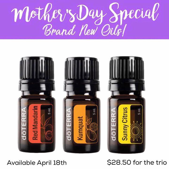 17904283_10158750185940107_8706799048873568514_n