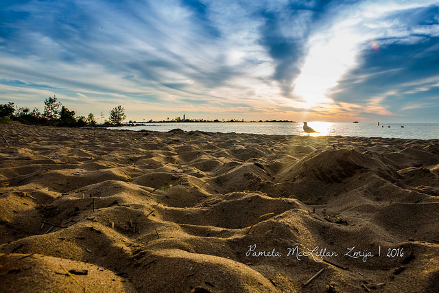 28488076476_1c0d3dbedb_z