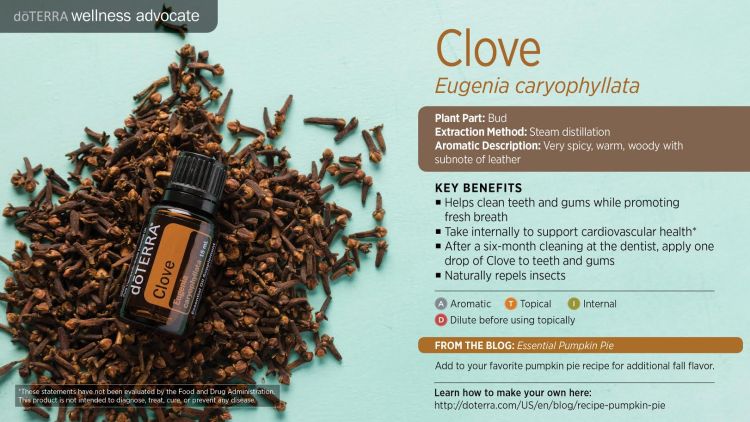 Clove