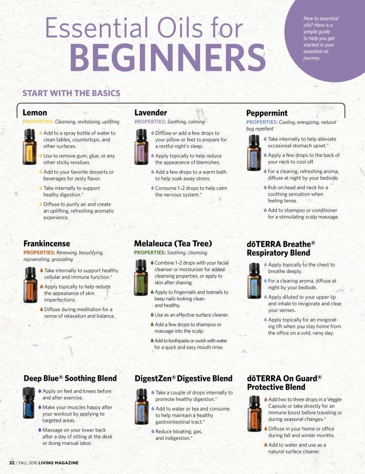EO For Beginners - Page 1 - Living+Magazine+Fall+2016-17 copy.jpg