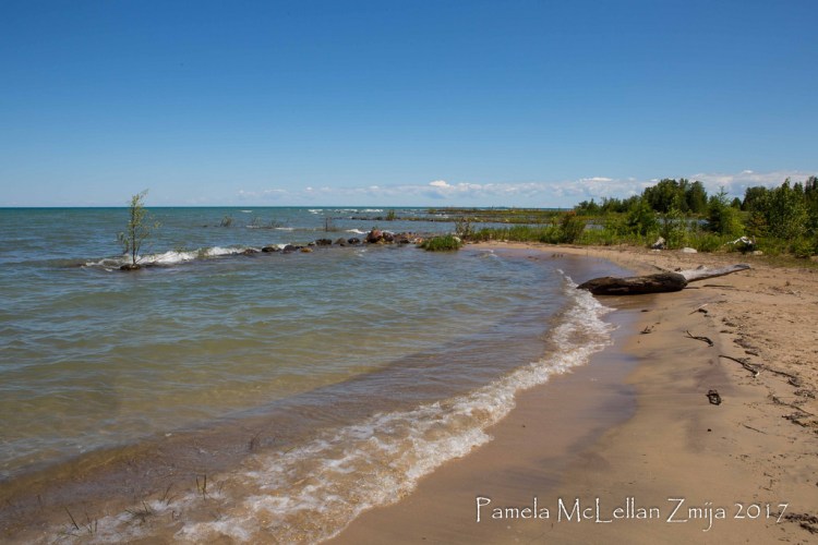 35018870213_77db004123_b