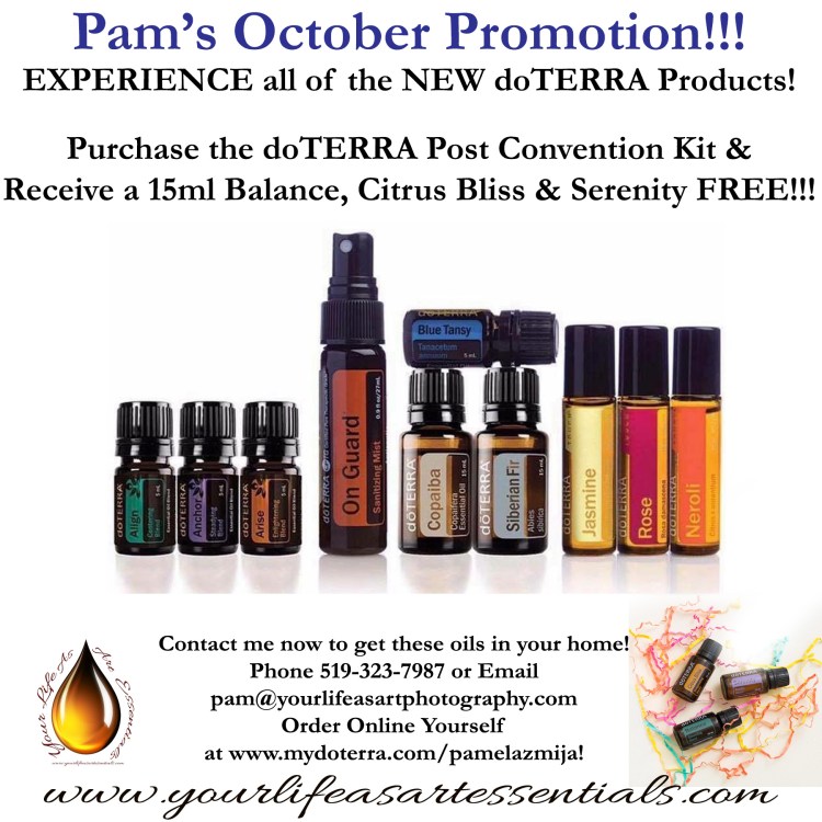 Convention Kit Promo October