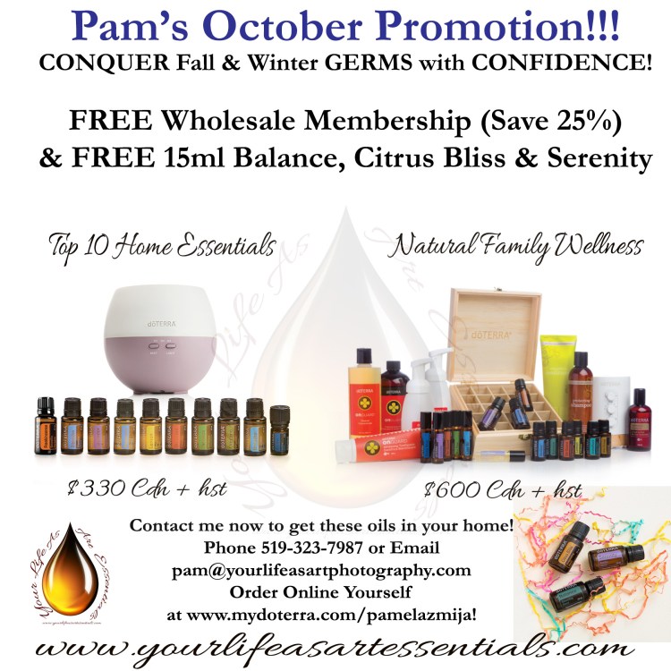 HOME ESSENTIALS PROMO