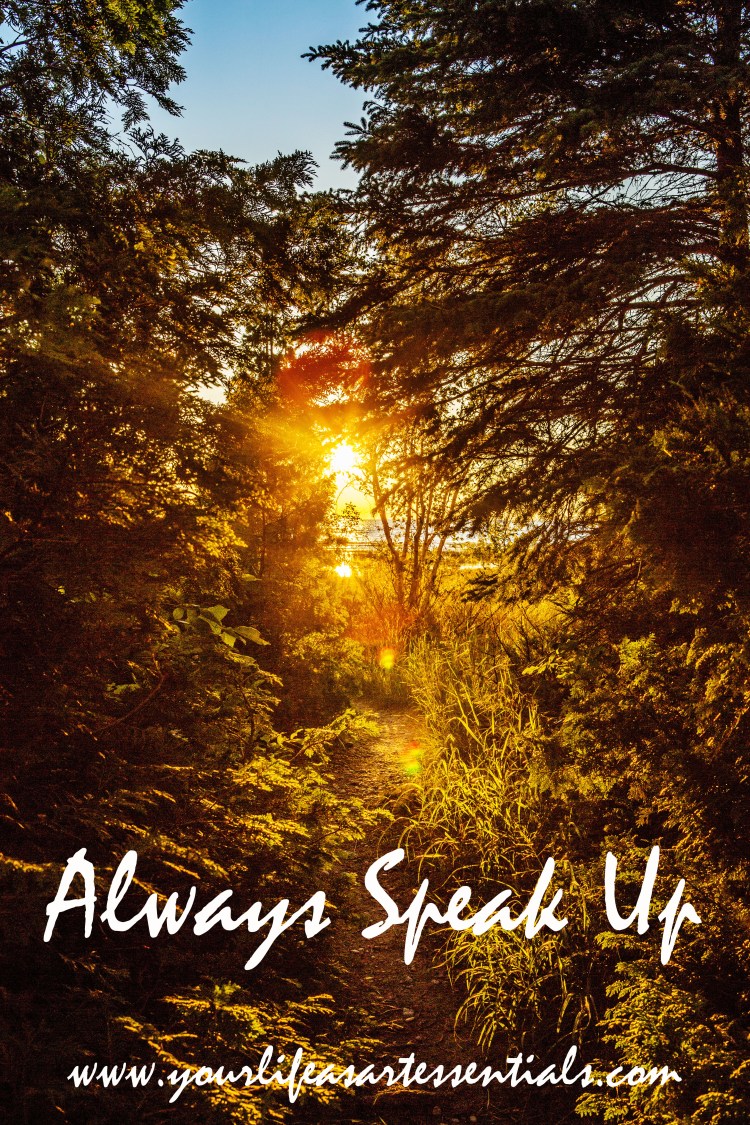 Speak Up - 20160828-IMG_7746.jpg