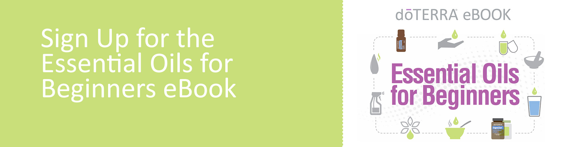 ForBeginners_LandingPageBanner