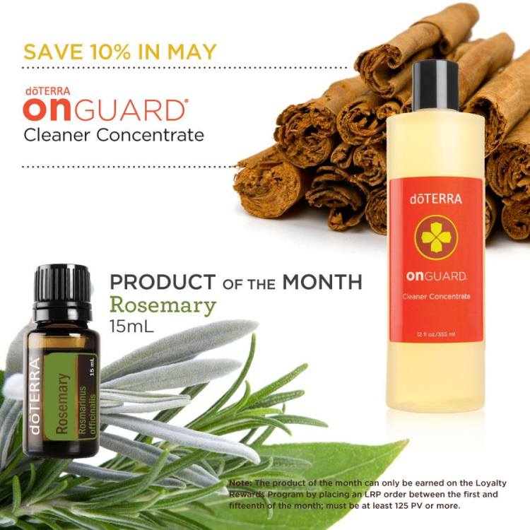 31337885_1618920644870170_4590833161931325440_n