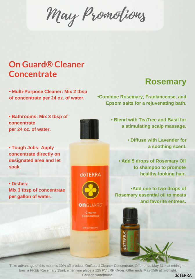 31531484_1694654477323191_4448619317222703104_n