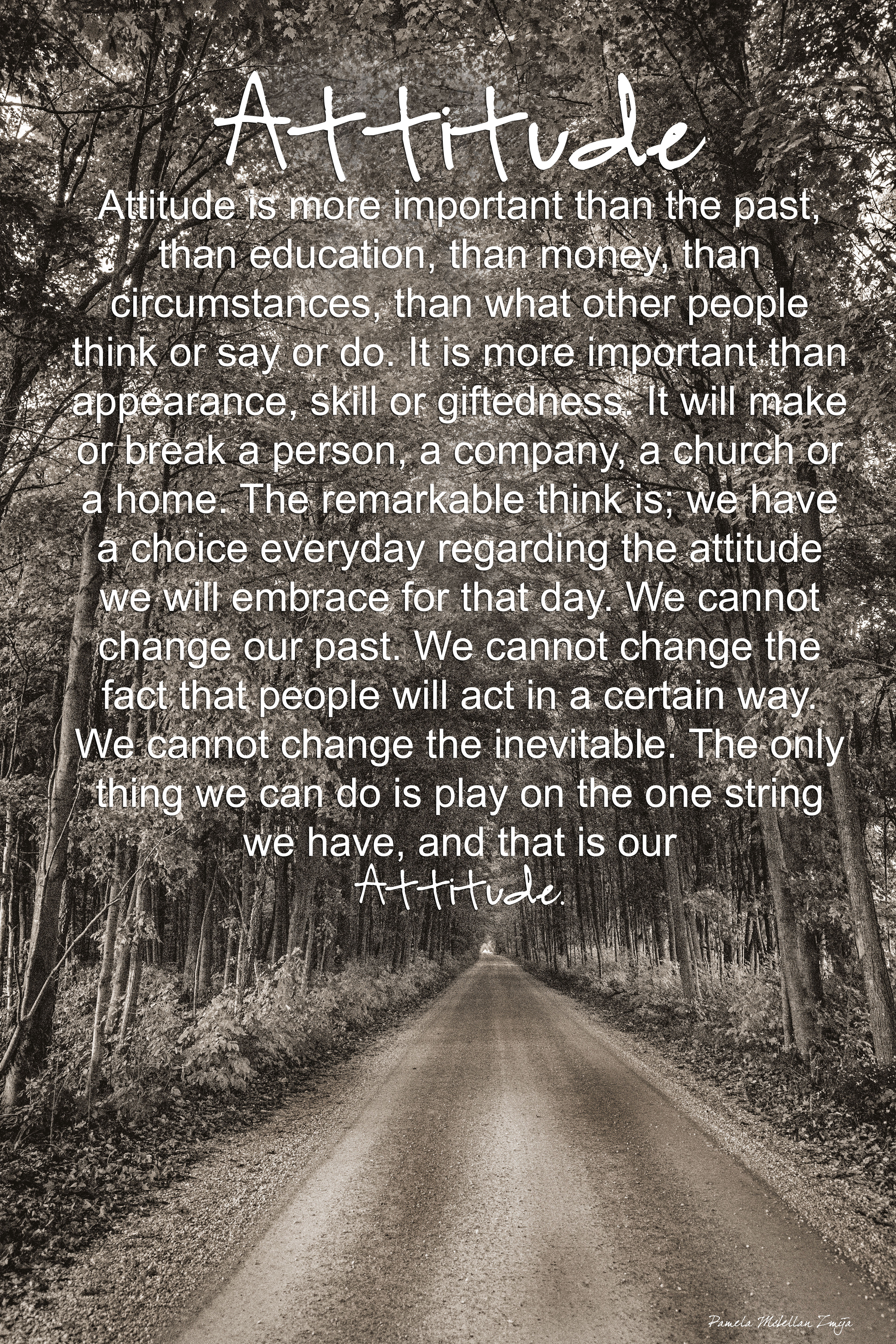 Attitude 20141002-328C7884-2.jpg